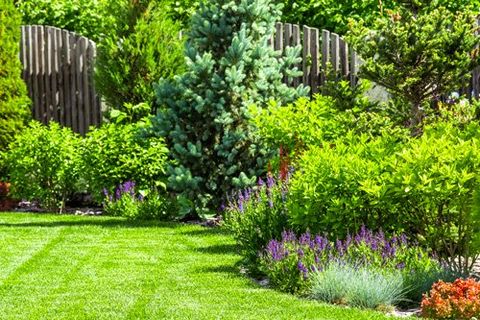 Bait Trap — Healthy Garden in Jacksonville, FL Bait Trap — Healthy Garden in Jacksonville, FL